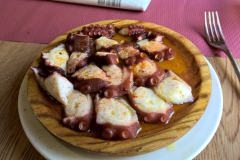 Camino-2015-008