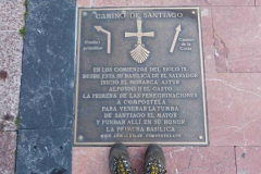 Camino-2014-004